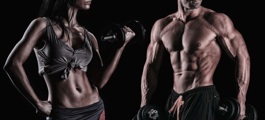FitVerseHub